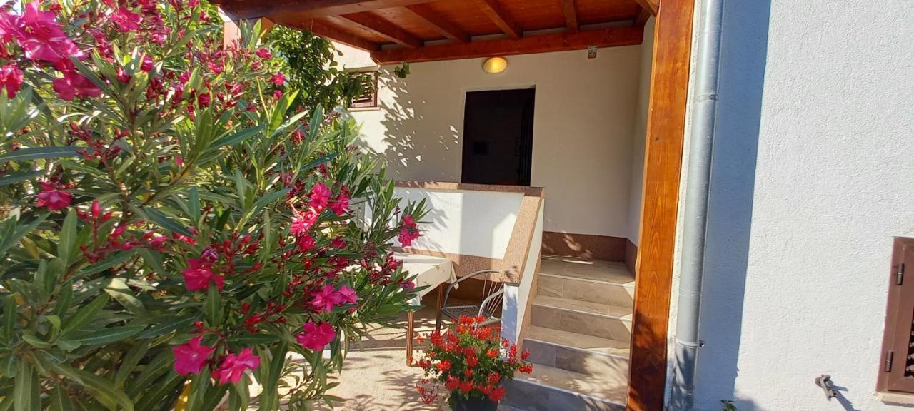 Eco Secluded Apartments Zabodarski Cunski Exterior photo