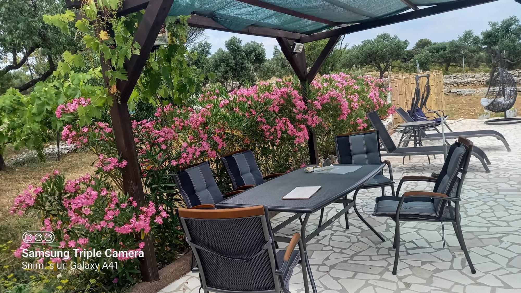 Eco Secluded Apartments Zabodarski Cunski Exterior photo