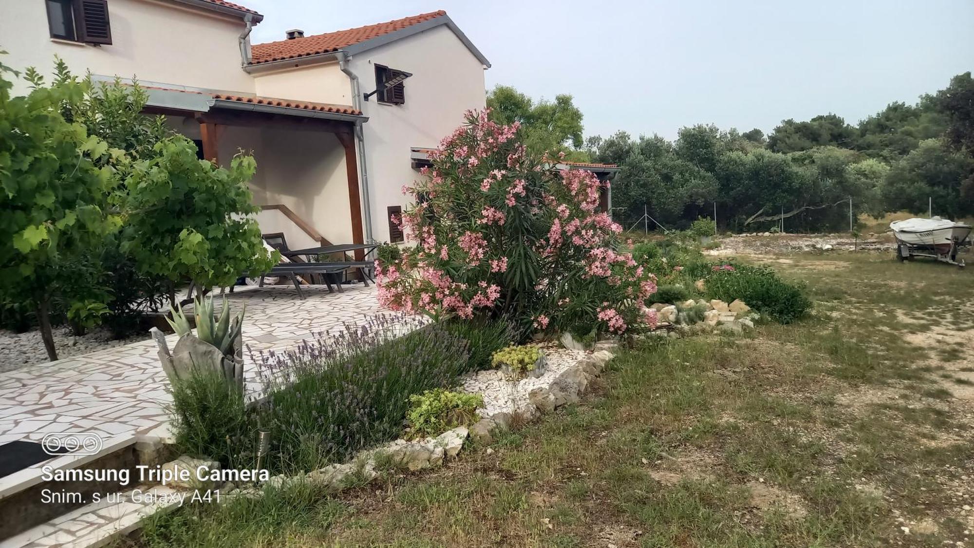 Eco Secluded Apartments Zabodarski Cunski Exterior photo