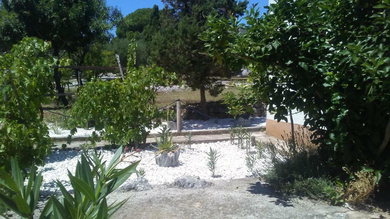 Eco Secluded Apartments Zabodarski Cunski Exterior photo